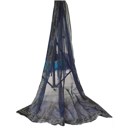 Sanskriti Vintage Blue Dupatta Long Stole Pure Chiffon Hand Beaded Wrap Scarves